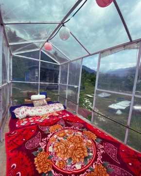 Tripifly Cabin